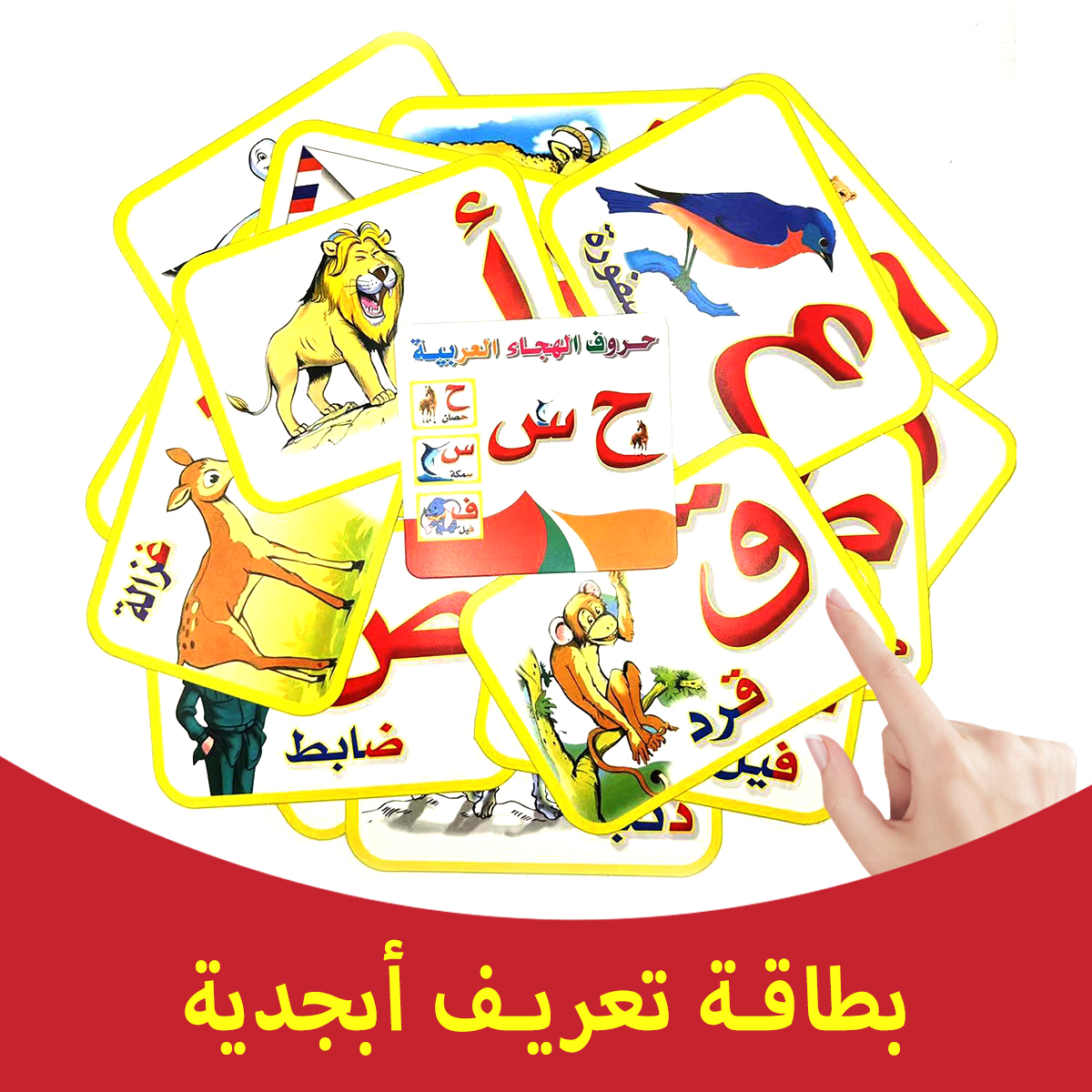 Flash Card Alphabet - Children's Arabic alphabet flash cards, best-selling