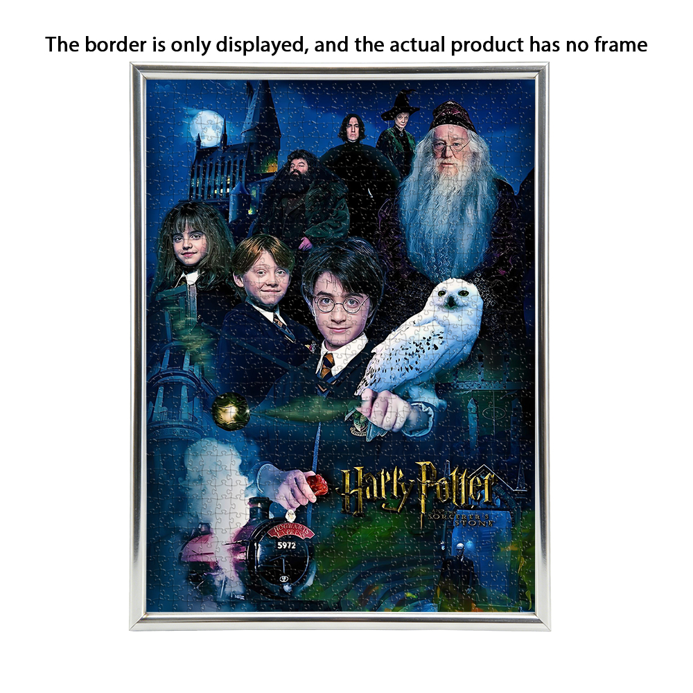 Magic Wizard World Harry Potte - Puzzle Map World recension och pris