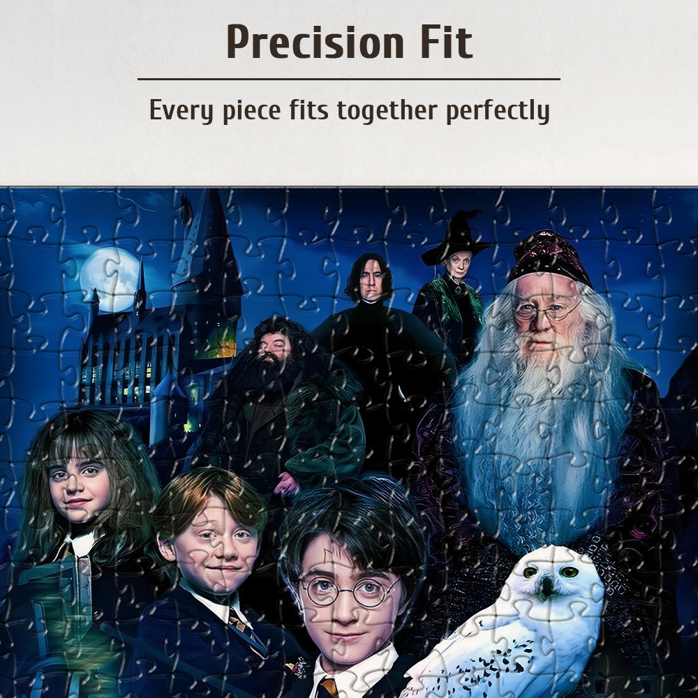 Magic Wizard World Harry Potte - Puzzle Map World recension och pris