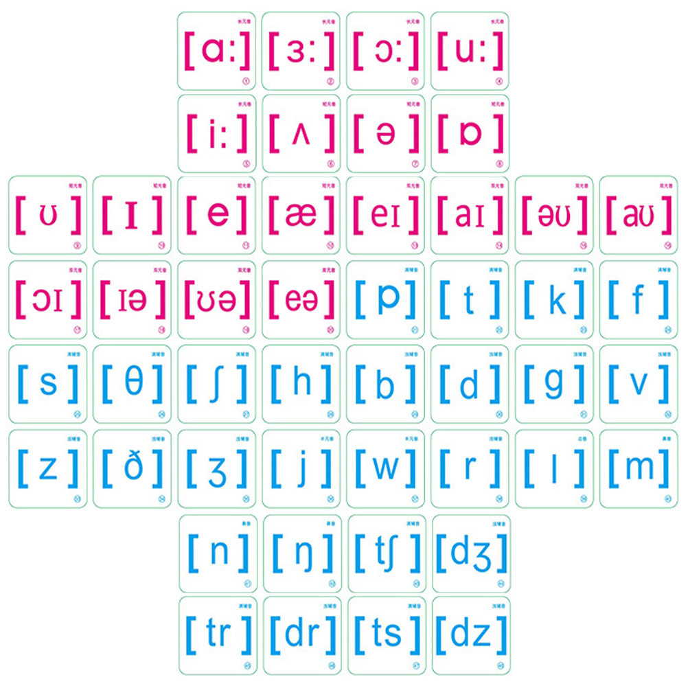 48Pcs Phonetic Magnet Teaching - Flash Card Alphabet recension och pris