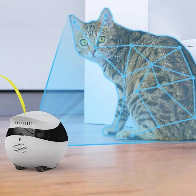 Wireless Smart  With Mobile Ap - Kids Education Mobile App recension och pris