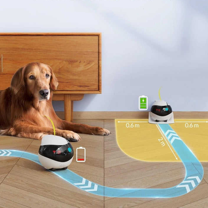 Wireless Smart  With Mobile Ap - Kids Education Mobile App recension och pris