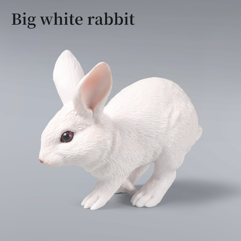 Poultry Farm Rabbit Bunny Arct - Kids First Education recension och pris