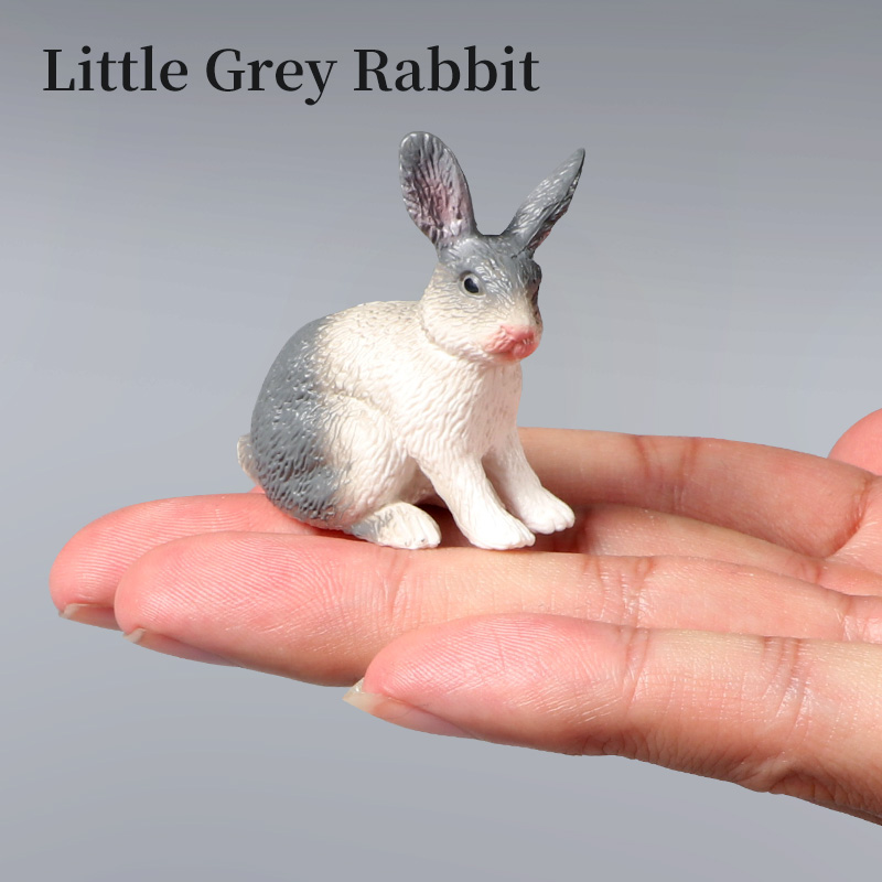 Poultry Farm Rabbit Bunny Arct - Kids First Education recension och pris