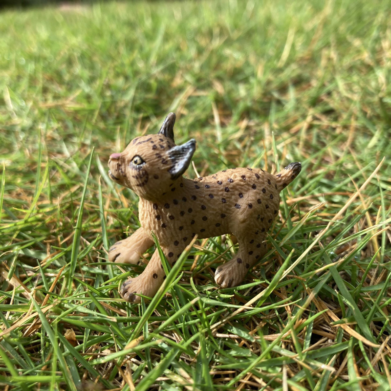 Realistic Animal Toy Model Min - Kids First Education recension och pris