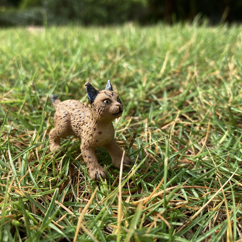 Realistic Animal Toy Model Min - Kids First Education recension och pris