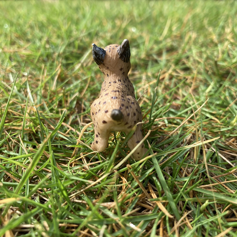 Realistic Animal Toy Model Min - Kids First Education recension och pris